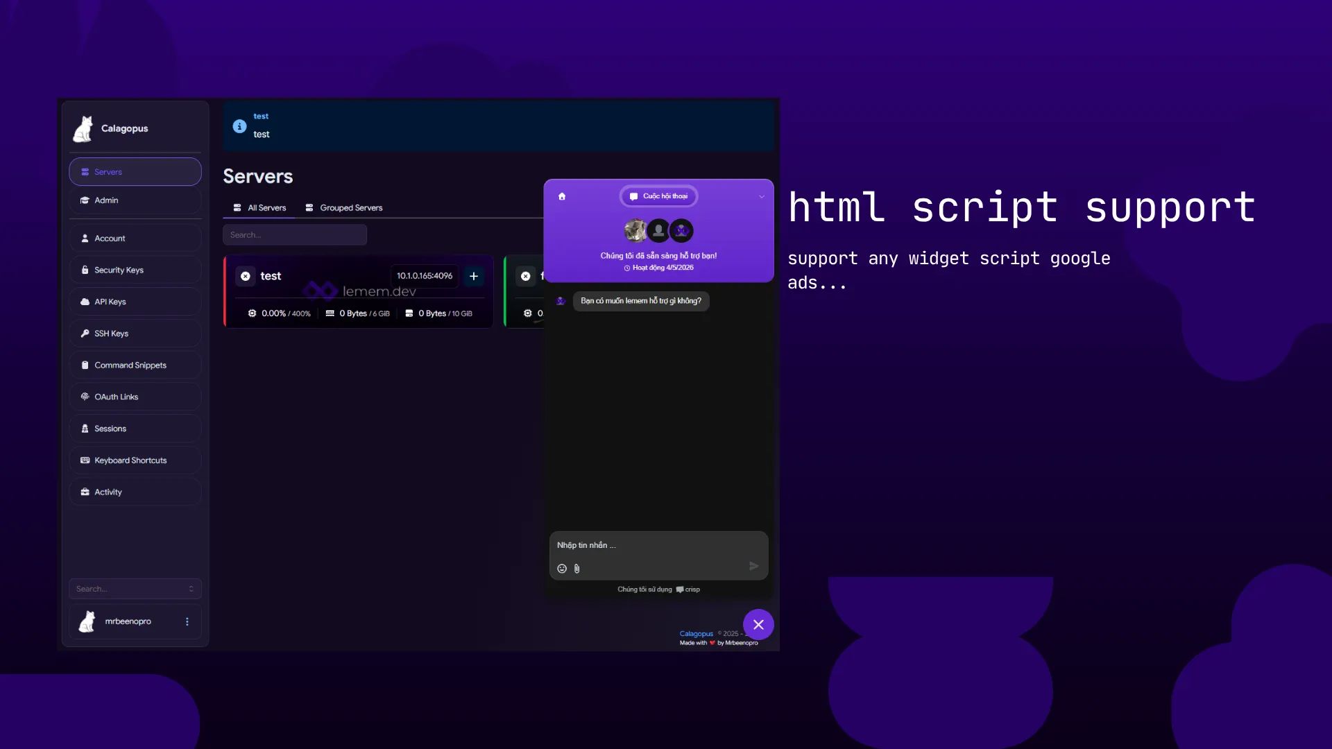 custom footer for Calagopus screenshot 2