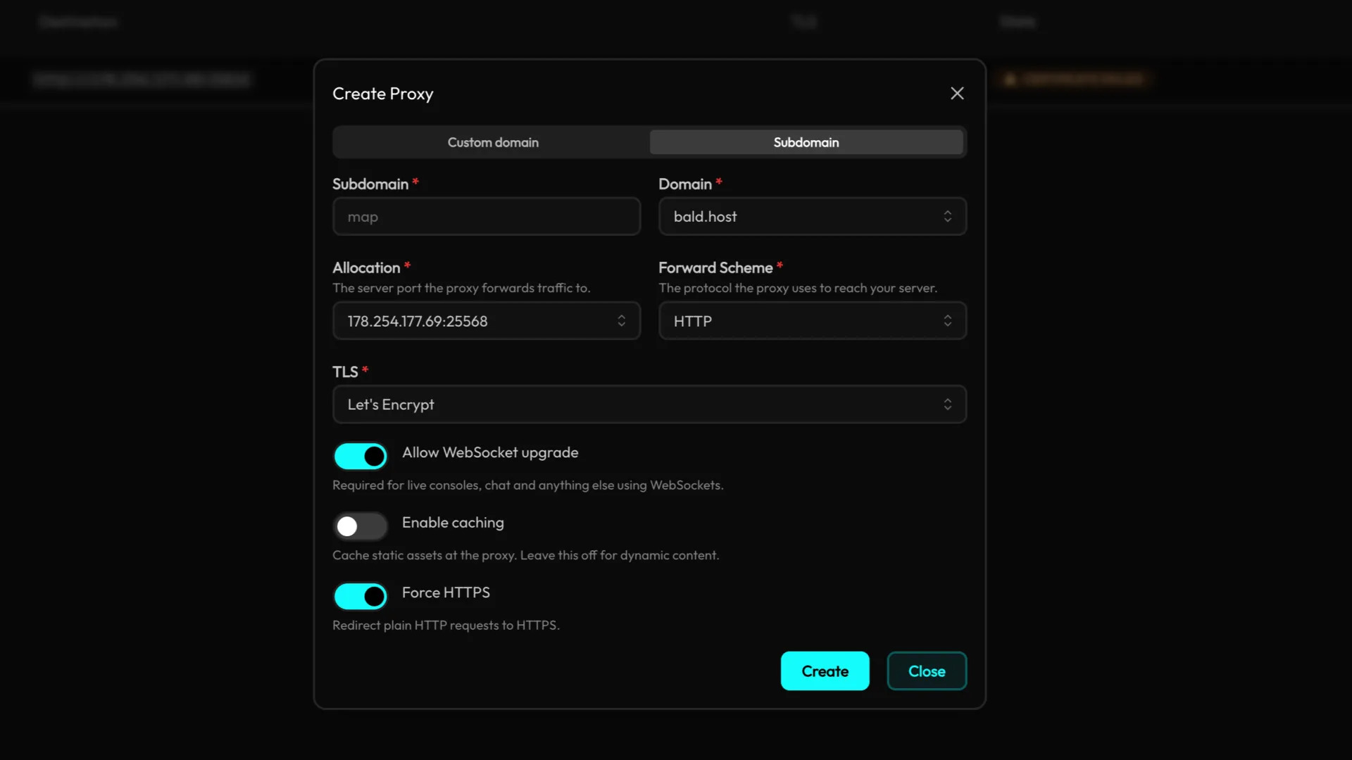 Reverse Proxy via Nginx Proxy Manager screenshot 2