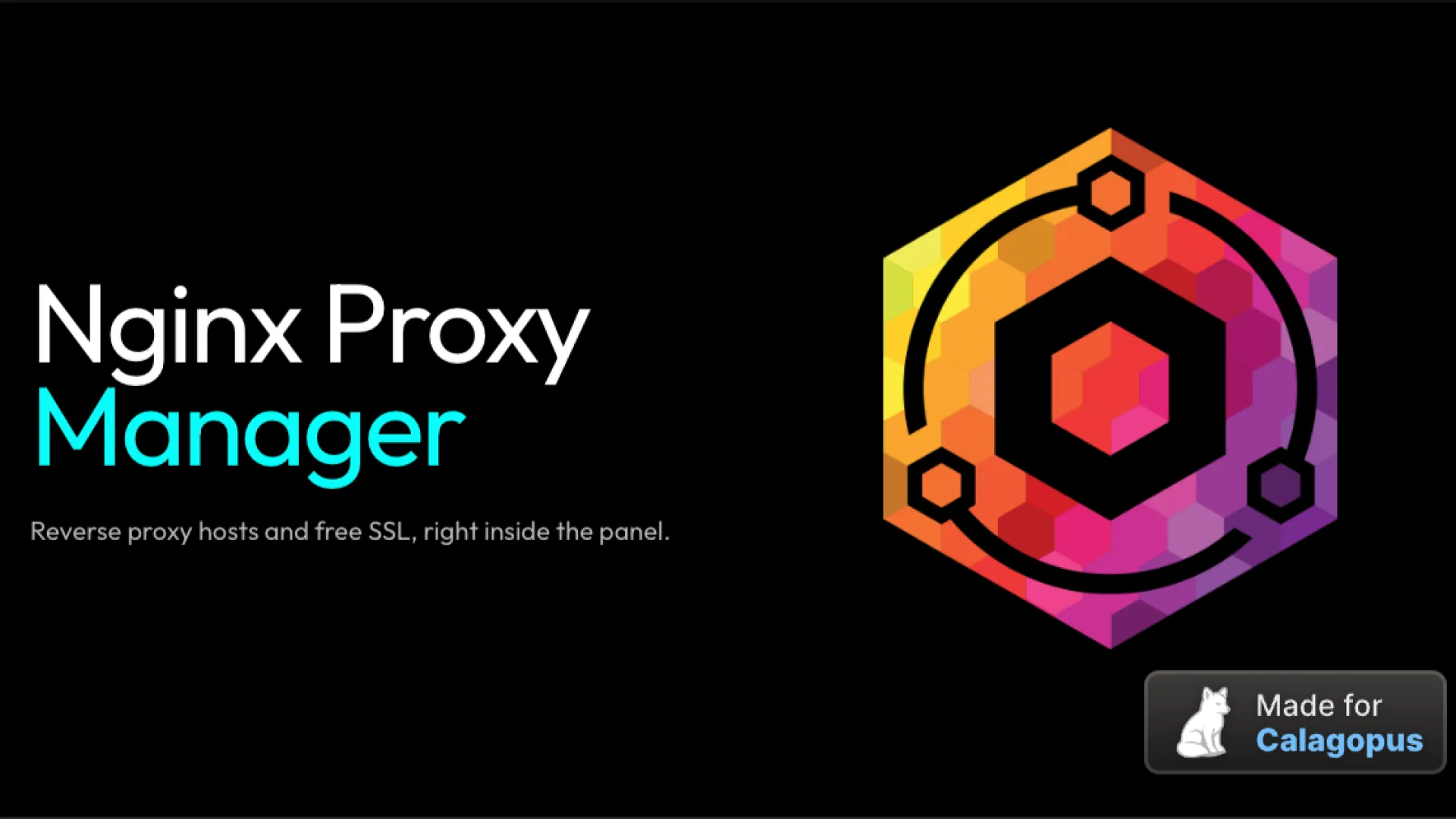 Reverse Proxy via Nginx Proxy Manager screenshot 3