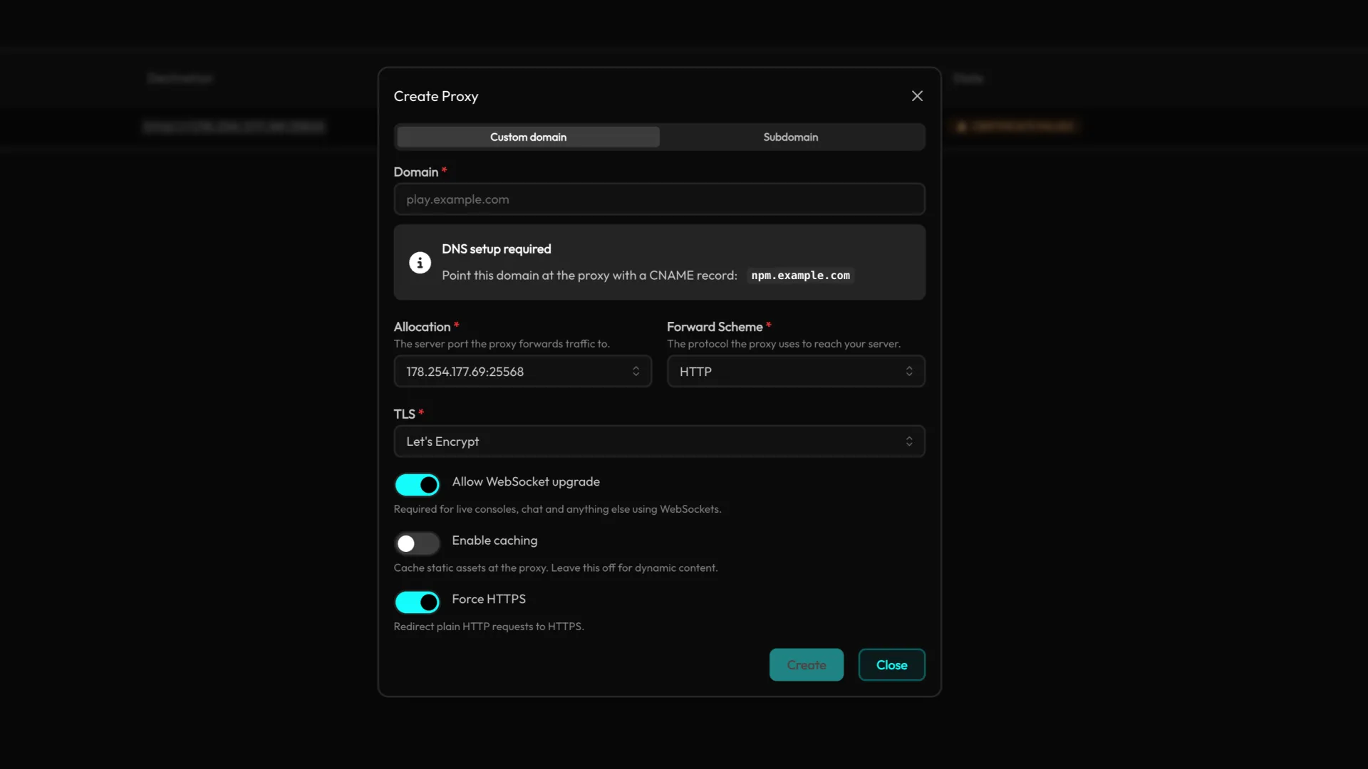 Reverse Proxy via Nginx Proxy Manager screenshot 1